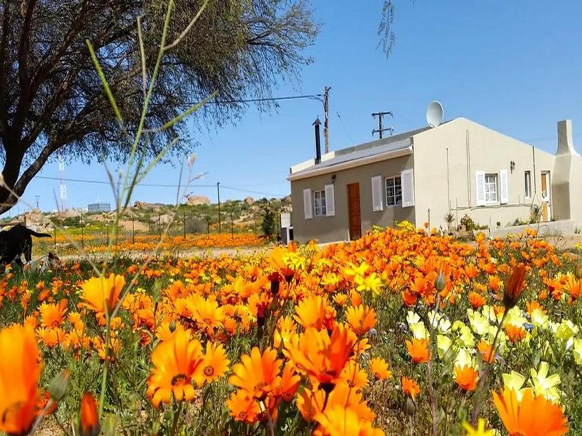 Kamieskroon Cosy Cottage エクステリア 写真
